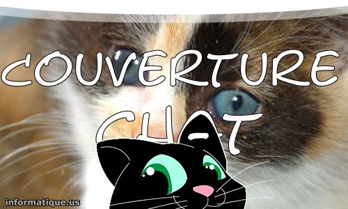 Photo De Couverture Chat Image De Chaton Couverture Facebook