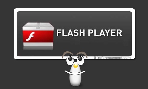 Logiciel Flash Player