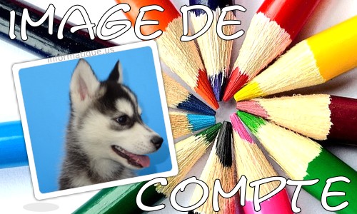 Image de compte et crayon de couleur